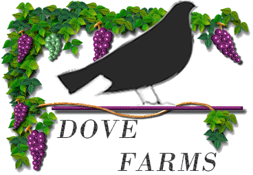 Dove Farms logo